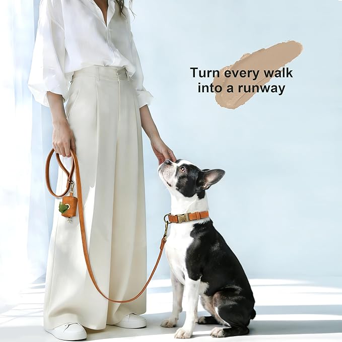 Didog Soft PU Leather Dog Collar, Stylish Quick Released Dog Collars for Medium Dogs, Easy Clean Adjustable Pet Collar for Daily Walking, Light Brown, M Fit 13-21" Neck