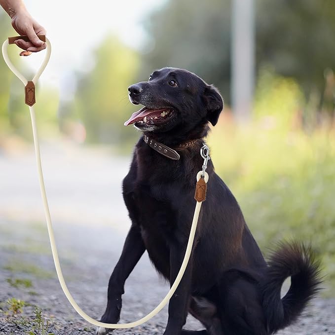 Mile High Life Leather Dog Leash, Heavy Duty Strong Genuine Leather Handle Rope Leash Soft and Comfortable for Small Medium Large Dogs (Cream White, 72 Inch)