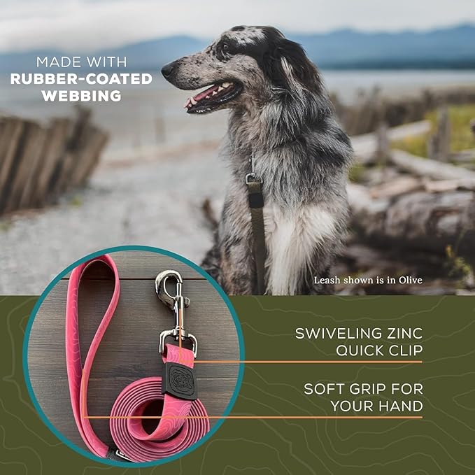 Wilderdog Waterproof Dog Leash - Repels Water & Dirt - Plum