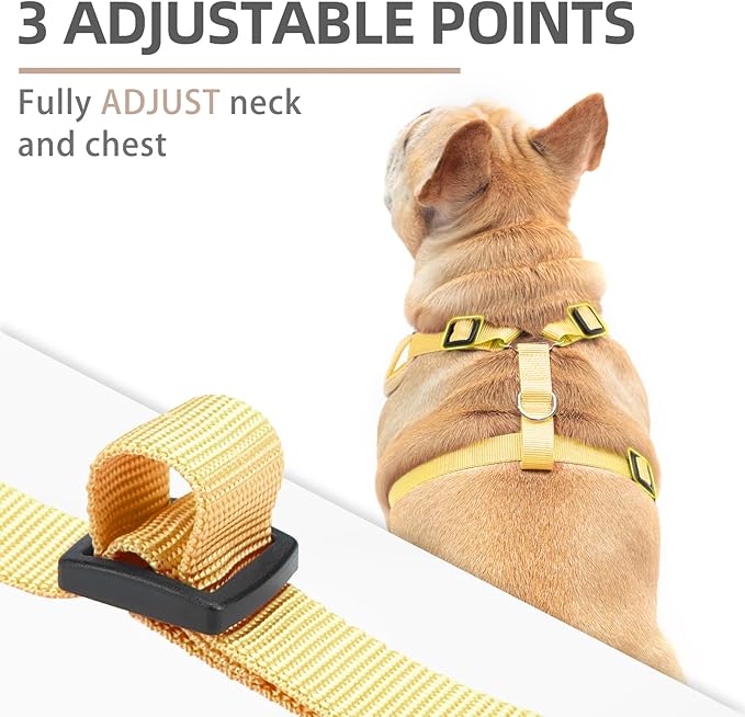 PUPTECK Thanksgiving Fall Small Dog Harness and Leash Set, No Pull Adjustable Puppy Cat Harness, Reflective Soft Mesh Pet Vest Small Sized, Leaves, S