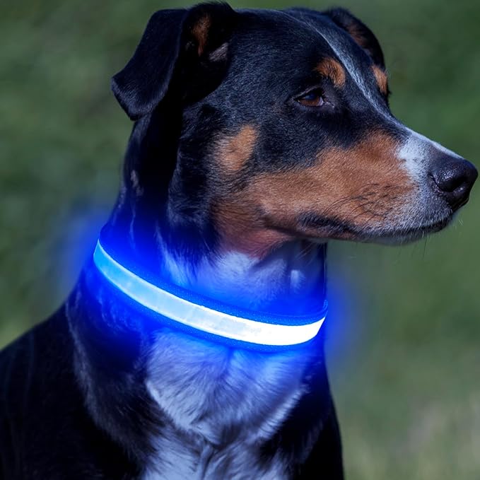 Vizpet LED Dog Collar, Light Up Dog Collar Adjustable USB Rechargeable Super Bright Safety Light Glowing Collars for Dogs(Small,Blue)