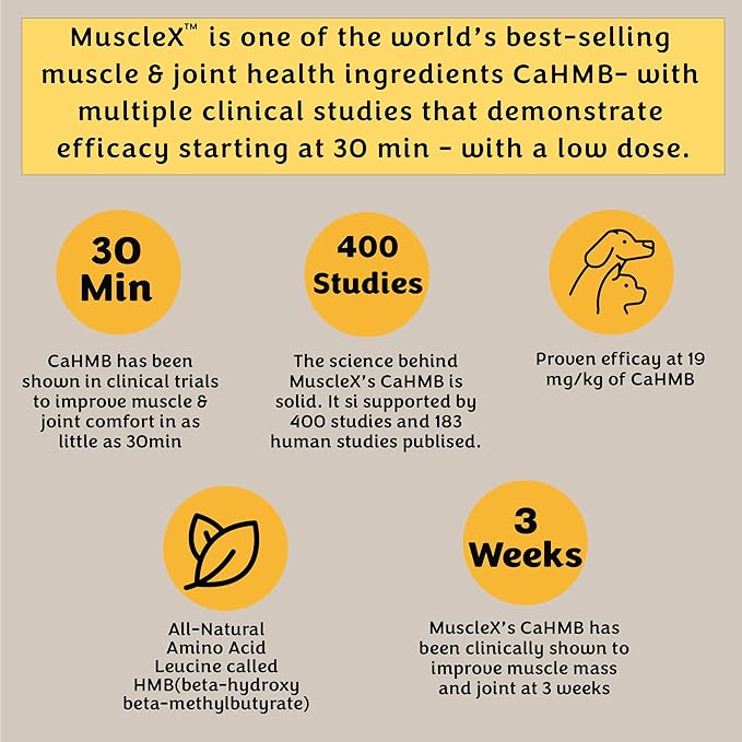 MuscleX™ Canine Muscle Formula Dogs with CaHMB 500 mg and Vitamin D3 - Natural Muscl Building Formula - Helps Reduce Muscle Loss Due to Normal Aging and Improves Recovery from Injury (90 Capsules)