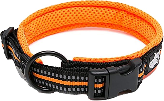 TRUE LOVE Dog Collar Reflective Premium Duraflex Buckle,High Grade Nylon Webbing No Choke Basic Collars TLC5011(Orange,2XL)