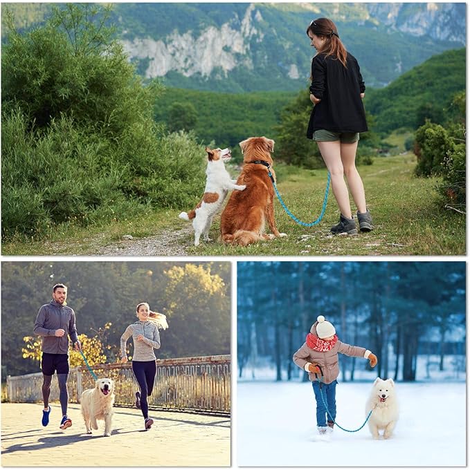Long Leash for Dogs 10ft 16ft 30ft 50 Feet 100 Foot Tie Out Check Cord Recall Obedience Rope Lead Extra Longline Long Dog Leash for Small Medium Large Dogs Outdoor Training Camping Tracking