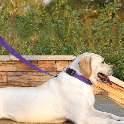 Dog Leash 6 FT Padded Handle Nylon Reflective Dogs Leashes for Small Dogs Puppy Leashes Purple