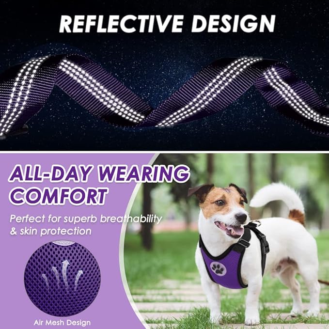 Lukovee Dog Seat Belt - Adjustable Dog Car Harness for Large, Medium, Small Dogs - Soft Padded & Breathable Mesh Dog Seatbelt with Vehicle Connector Strap (Purple Double Clip, X-Small)