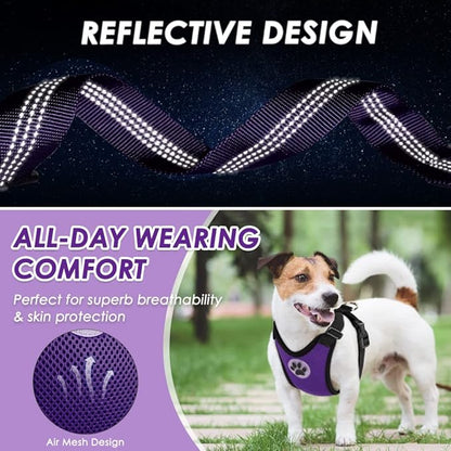 Lukovee Dog Seat Belt - Adjustable Dog Car Harness for Large, Medium, Small Dogs - Soft Padded & Breathable Mesh Dog Seatbelt with Vehicle Connector Strap (Purple Double Clip, X-Small)