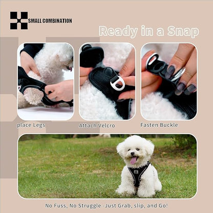 Adjustable Dog Harness with Leash, Reflective Mesh, No-Pull Design，Matching Lead Rope (Black, XXXS)