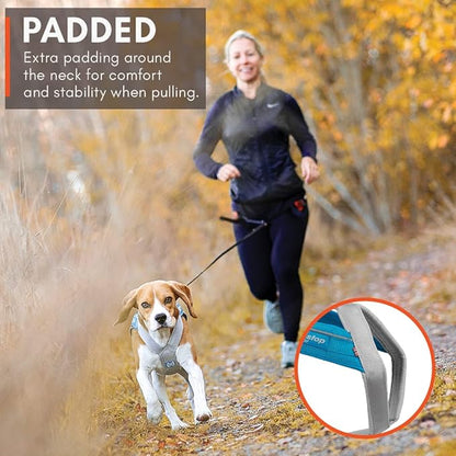 Non-stop dogwear Freemotion Harness 5.0 Dog Pulling Harness for Sports Like Running, Biking and Skiing with Dogs, Professional Adjustable Dog Harness, Blue/Gray, Size 4