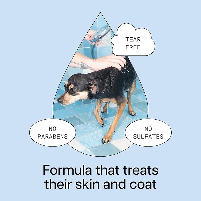 DedCool Pet Shampoo | 01 Taunt Scent | Hypoallergenic, Tear-Free Dog & Cat Wash for Sensitive Skin, Dryness & Itch Relief | Vegan, Non-Toxic, Deodorizing Cleanser | 16.9oz