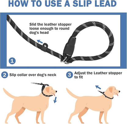 HOMIMP Slip Lead Dog Leash 6 FT - Reflective 4 PCS Bulk Color Heavy Duty Rope Dog Leash for Small Medium Large Dogs Puppy - Soft Long Padded Handle Thick Dog Leashes for Shelter, Vet, Training