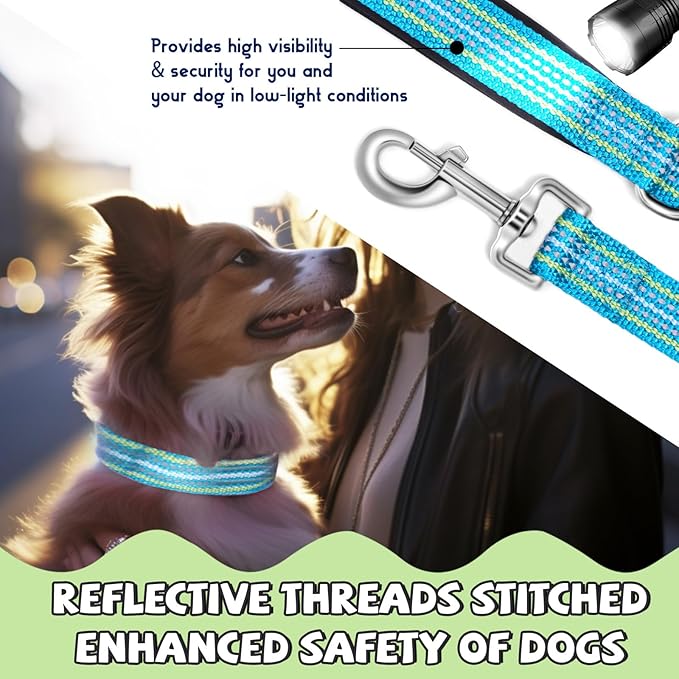 Reflective Dog Collar and Leash Set, Nylon Dog Leash with Heavy-Duty Steel D-Ring, Adjustable with Quick Release Buckle for Large Dogs,Cyan L