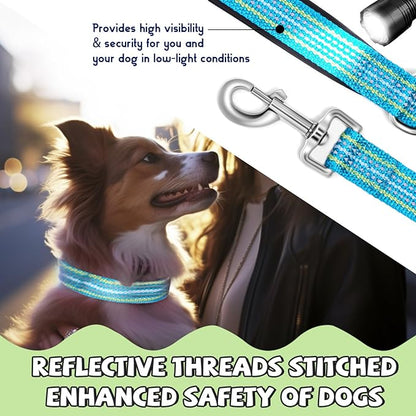 Reflective Dog Collar and Leash Set, Nylon Dog Leash with Heavy-Duty Steel D-Ring, Adjustable with Quick Release Buckle for Large Dogs,Cyan L