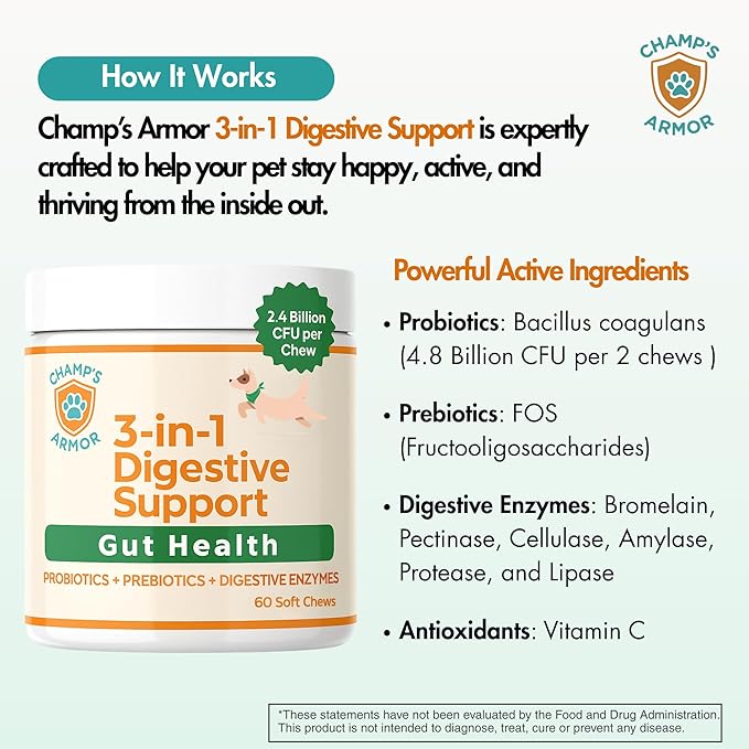 Probiotics for Dogs with Digestive Enzymes - 2.4 Billion CFU Dog Probiotic Supplements for Upset Stomach, Digestive Health, Diarrhea Relief - 60 Chicken Flavor Chews