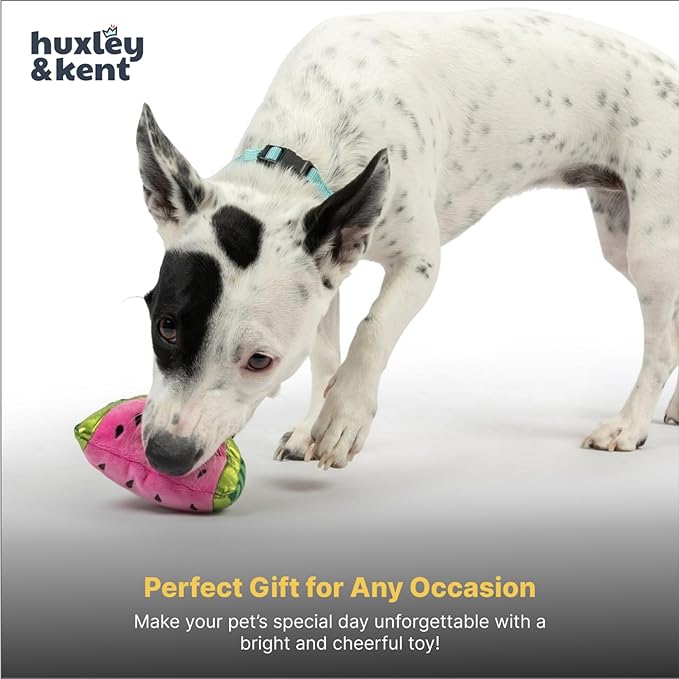 Huxley & Kent Funny Dog Toy w/Squeaker – Power Plush Squeaky Dog Toys for Small Dogs – Durable Small Stuffed Animal for Indoor Play & Fetch - Tiny Tuff Walter Melon