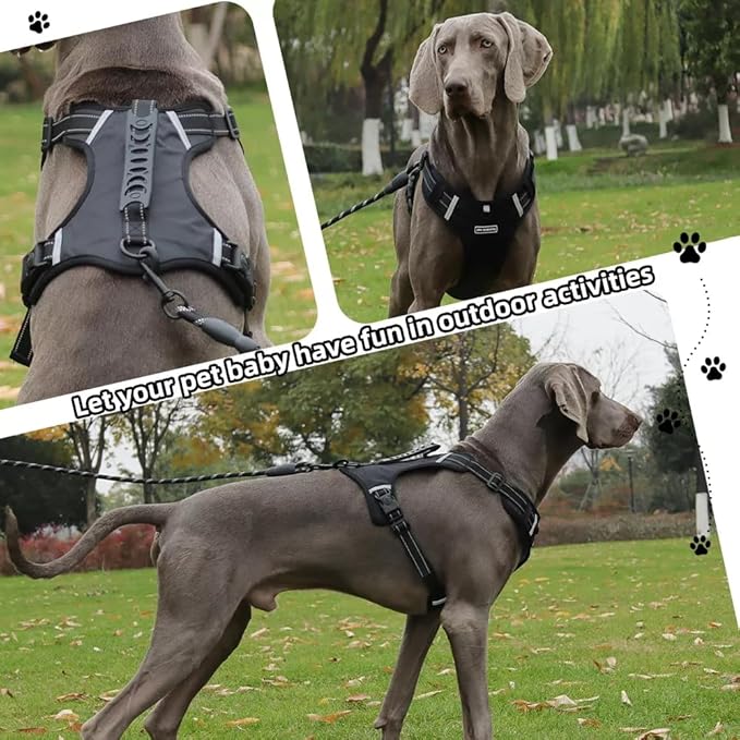 Dog Harness No Pull Adjustable Reflective,for Medium and Large Small Dog with Leash 59.06in (Black, L)
