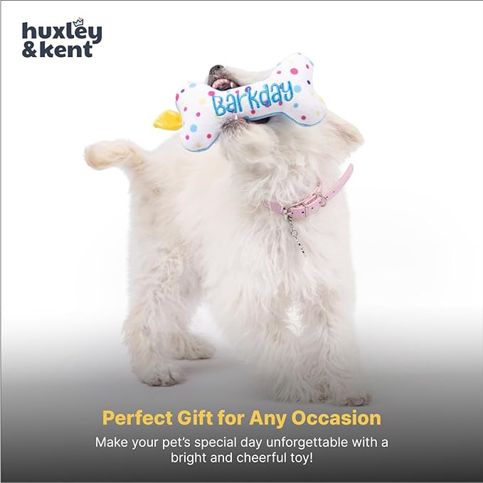 Huxley & Kent Funny Dog Toy w/Squeaker – Power Plush Squeaky Dog Toys for Small Dogs – Durable Small Stuffed Animal for Indoor Play & Fetch - Tiny Tuff It's My Barkday Bone