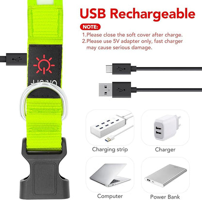 Vizpet LED Dog Collar, Light Up Dog Collar Adjustable USB Rechargeable Super Bright Safety Light Glowing Collars for Dog(Small,Green)