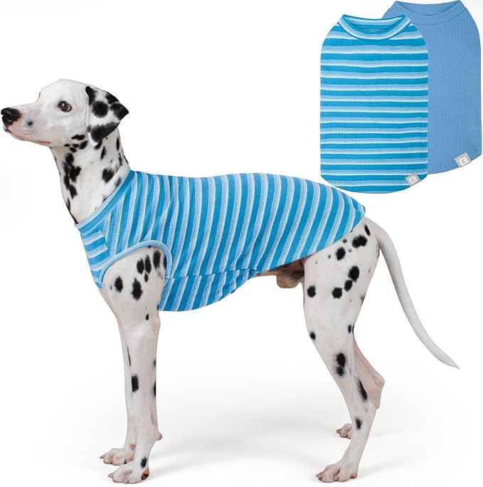 KYEESE 2Pack Waffle Dog Shirts Stretchy Dog T-Shirts Lightweight Dogs Tank Top Sleeveless Striped Dogs Shirt Vest Breathable, XX-Large, Blue+Striped