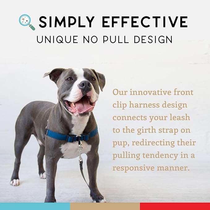Wildebeest No Pull Dog Harness | Comfortable Training Harnesses | Effective No Pull Harness Design | Ideal for Large Sized Dog | 4-Point Adjustable(XL - 30~36 inch Girth, Navy)