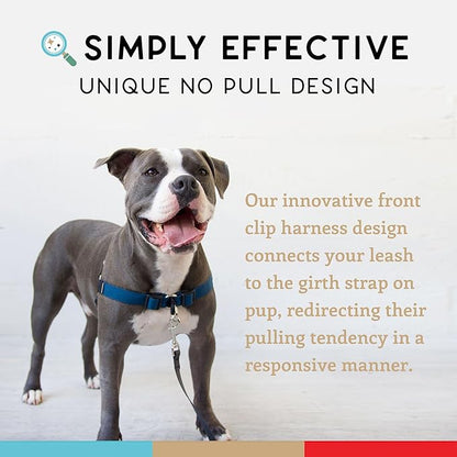 Wildebeest No Pull Dog Harness | Comfortable Training Harnesses | Effective No Pull Design | Ideal for Medium Sized Dog | 4-Point Adjustable(M - 22~28 inch Girth, Navy)