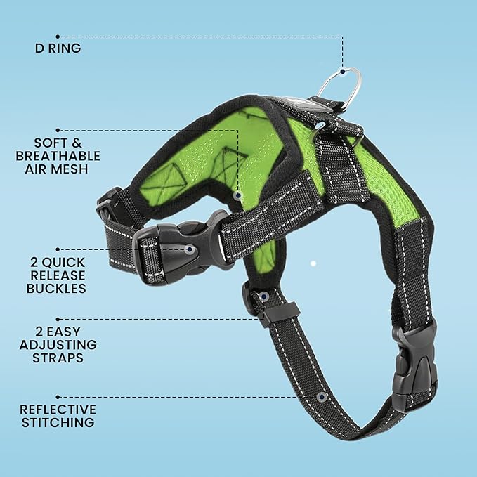 No Pull Reflective Adjustable Dog Harness with Handle- Comfortable Soft All Weather Mesh, Easy On Puppy Harness for Small Medium and Large Dogs (Green) X-Small
