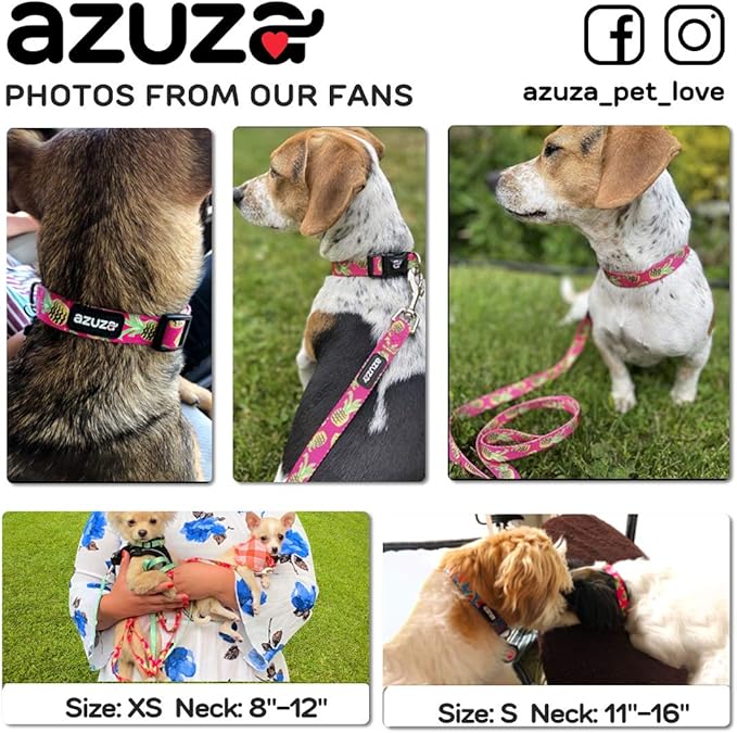 azuza Dog Collar and Leash Set, Pineapple Patterns on Nylon Collar and Matching Leash, Large Dog Collar for Large Dogs