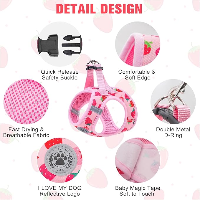 BEAUTYZOO Step in Dog Harness and Leash Set,Reflective Dog Harness No Pull No Choke Puppy Harness for Small Medium Large Dogs Cats,Soft Padded Mesh Vest Harnesses for Girl and Boy Pets, Strawberry M