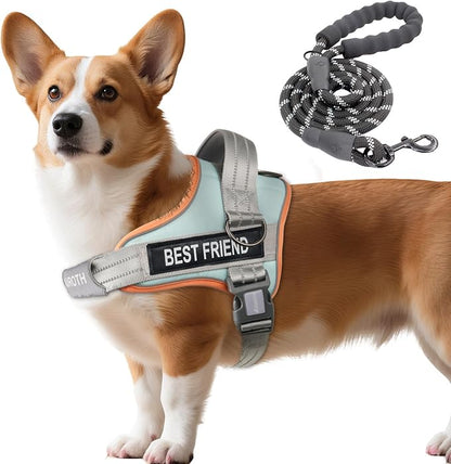 AUROTH Dog Harness and Leash Set, Soft Padded Service Dog Vest with 5.25FT Dog Leash, No Choke, Easy On Pet Vest, Adjustable Reflective No Pull Pet Vest Medium Sized Dog, Easy Walking and Training