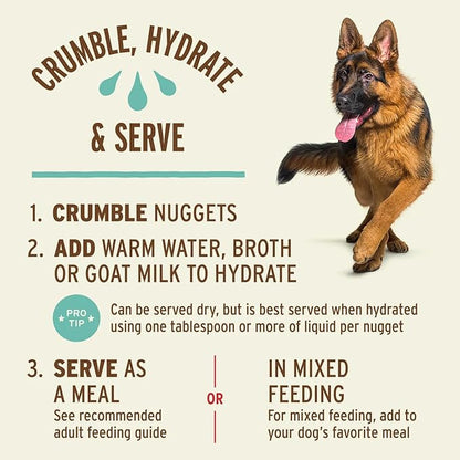 Primal Freeze Dried Raw Dog Food Nuggets, Duck, Complete & Balanced Meal, Also Use as Topper or Treat, Premium, Healthy, Grain Free, High Protein Raw Dog Food, 14 oz