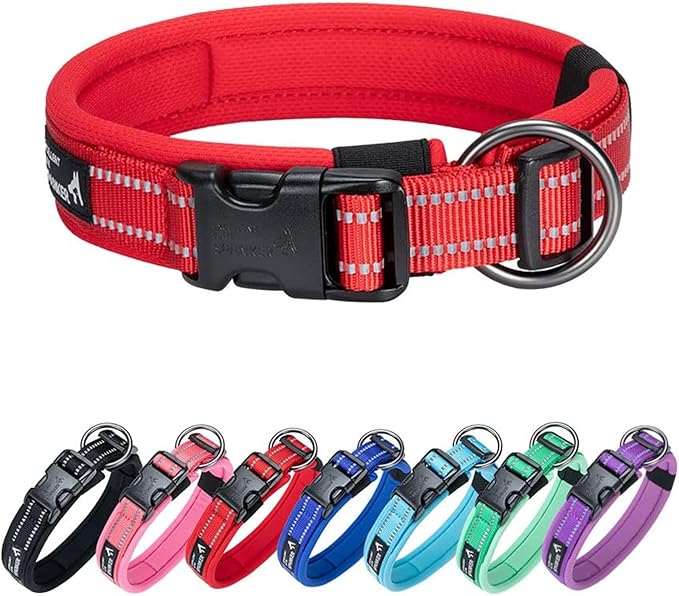 EXCELLENT ELITE SPANKER Reflective Dog Collar Classic Soft Padded Breathable Nylon Adjustable Pet Collar with Quick Release Buckle for Boy Girl Male Female Small Medium Large Dogs Training(Red-L)