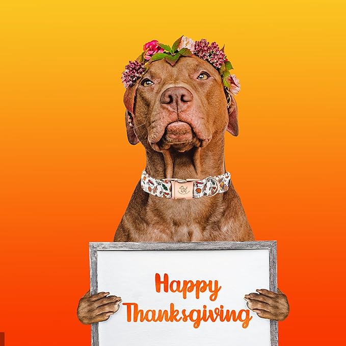 Elegant little tail Thanksgiving Dog Collar, Fall Turkey Print Pet Collar Durable Dog Collars Male or Female Holiday Pet Gift Adjustable Dog Collar for Large Dogs