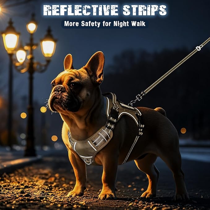 MOOGROU Tactical Dog Harness and Leash Set Small Sized Dog,Heavy Duty No Pull Service Dog Vest and 10 Patches with Dog Seat Belt,Reflective Adjustable Pet Harness for Training Walking Hiking Brown S