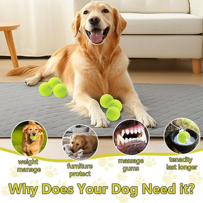 Swingers Squeaky Tennis Balls for Dogs,2.5 inch Training Tennis Balls,Exercise Ball for Pet Dog with Mesh Carry Bag Easy to Transport (Yellow, 60 Pack)