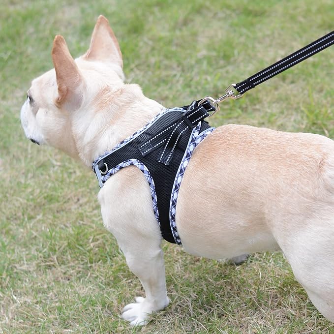 Mercano Soft Mesh Dog Harness and Leash Set, No-Chock Step-in Reflective Breathable Lightweight Easy Walk Vest Harnesses with Safety Buckle for Small Dogs, Cats (Black White, XXS)