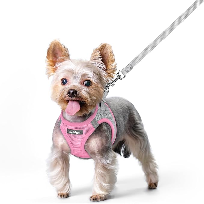 rabbitgoo Dog Harness Small Sized and Leash Set, Step in Soft Light Puppy Vest, Breathable Mesh Pet Harness, Reflective for Safe Easy Walking, Pink & Gray XS