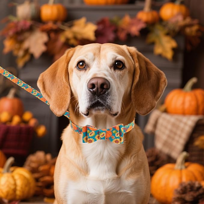 KOOLTAIL Dog Collar and Leash Set with Bow Tie & Bells for Small Dogs-Puppy Collar and Leash with Dog Bandana Collar, Soft Leather Tangle Free Leashes for Boys Girls Cats