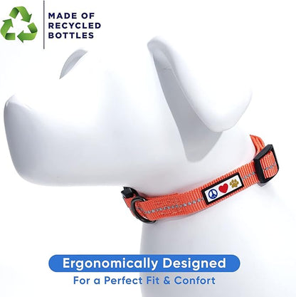 Pawtitas Recycled Dog Collar with Reflective Stitched Puppy Collar Made from Plastic Bottles Collected from Oceans Extra Small Living Coral