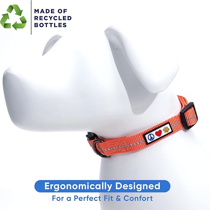 Pawtitas Recycled Dog Collar with Reflective Stitched Puppy Collar Made from Plastic Bottles Collected from Oceans Large Living Coral