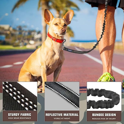 AUROTH Heavy Duty Bungee Dog Leash for Shock Absorption - 6FT Black Training Leash with 2 Padded Handles for Medium Large Breed Dogs