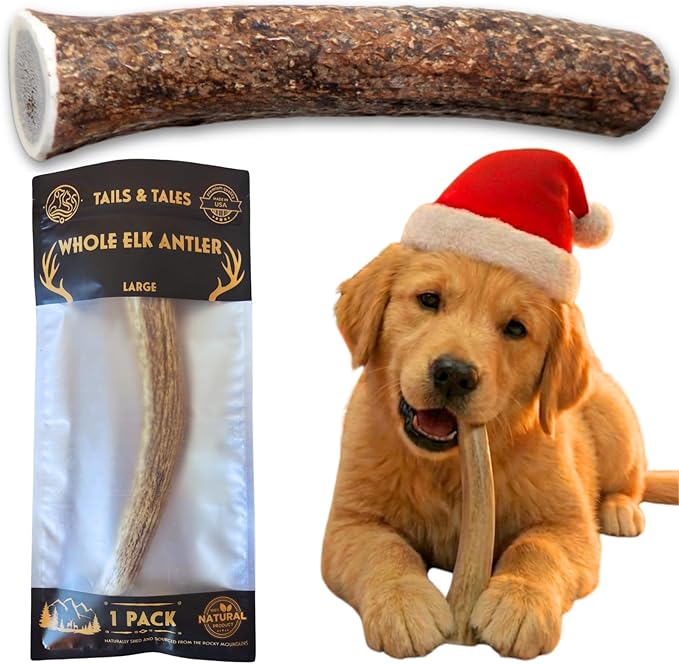Tails & Tales Whole Elk Antler for Dogs Large 7-9" Long-Lasting & Durable Dog Bones for Aggressive Chewers or Teething Puppies No Additives, Premium Grade A, Naturally Shed in USA