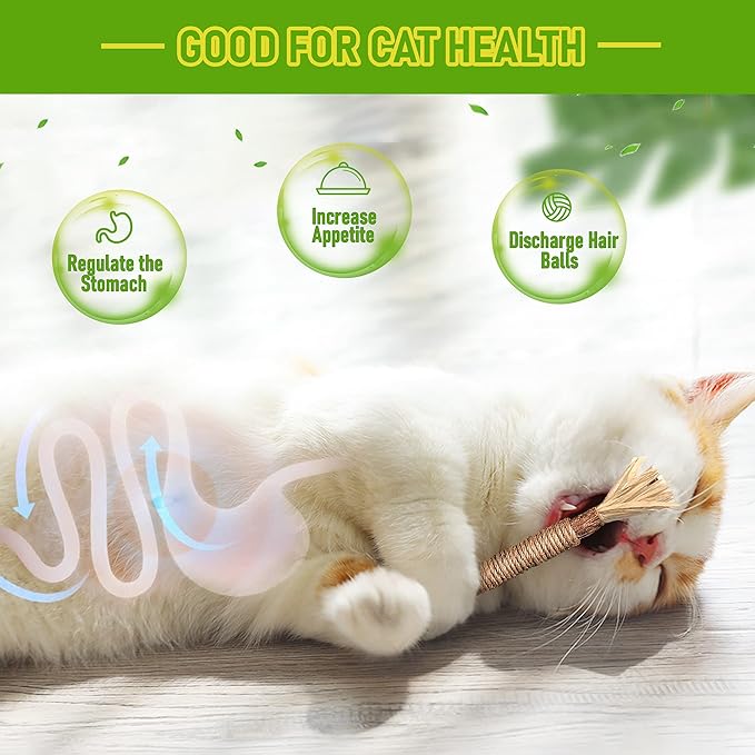 GBSYU 5 Pack Silvervine Cat Toy, Silvervines Sticks Cat Toys for Indoor Cats, Cat & Kitten Chew Toys for Aggressive Chewers, Cat Dental Toy for Kitten Teeth Cleaning, Matatabi Silvervine for Cats