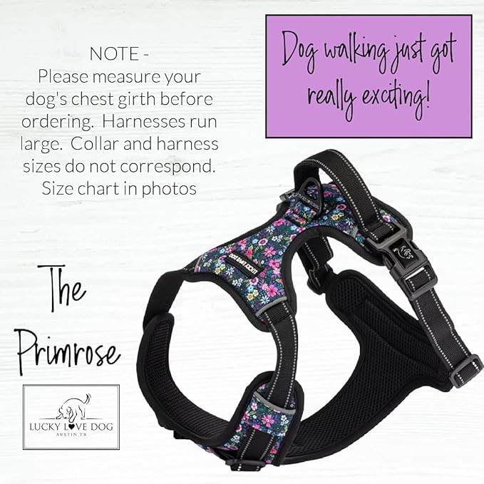 Lucky Love Dog No Pull Dog Harness, Adjustable and Easy to Walk, Cute Patterned Harness for Medium Male & Female Dogs - Primrose, Medium