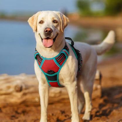 rabbitgoo Dog Harness No Pull with 2 Leash Clips, Adjustable Soft Padded, Reflective Oxford No Choke Pet Vest with Easy Control Handle for Large Dogs, Red & Teal, L