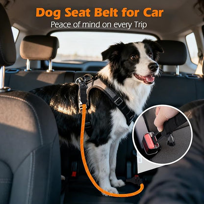 PetBonus Dog Seat Belt for Car, Durable Rope Dog Car Harness Seatbelt for Vehicle, Pet Tether Safety Restraint with Heavy Duty Buckle Hook Latch Lockable Clip for Small Medium Large Breeds (Orange)