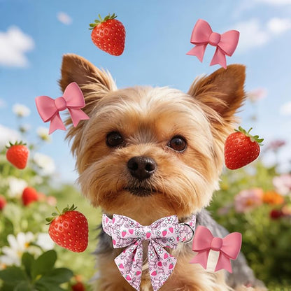 Lionet Paws Strawberry Floral Dog Collar with Sailor Bow, Spring Pink Bow Dog Collars Bow Tie for Dogs, Medium, Neck 13.5-22 inches