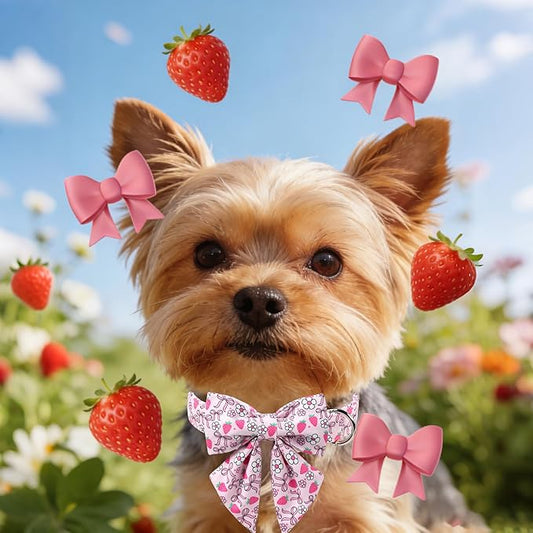 Lionet Paws Strawberry Floral Dog Collar with Sailor Bow, Spring Pink Bow Dog Collars Bow Tie for Puppies, XS, Neck 8-12 inches