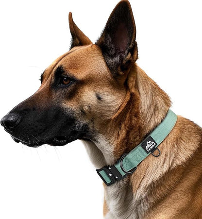 Dog Collar for Large Dogs - Adjustable, Chew Proof Nylon Collar with Metal Quick Release Buckle and D-Ring for Dog Tags (Florida Seaside, L(1''Width, Fit 14''-20''))