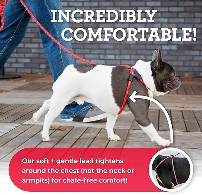 Harness Lead No Pull Dog Harness and Leash Set, Anti Pull Dog Harness, One-Piece Cushioned Rope Safely Prevents Escaping and Pulling *New Insert is Removable (Medium/Large, Rainforest)