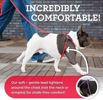 Harness Lead No Pull Dog Harness and Leash Set, Anti Pull Dog Harness, One-Piece Cushioned Rope Safely Prevents Escaping and Pulling *New Insert is Removable (Medium/Large, Rainforest)